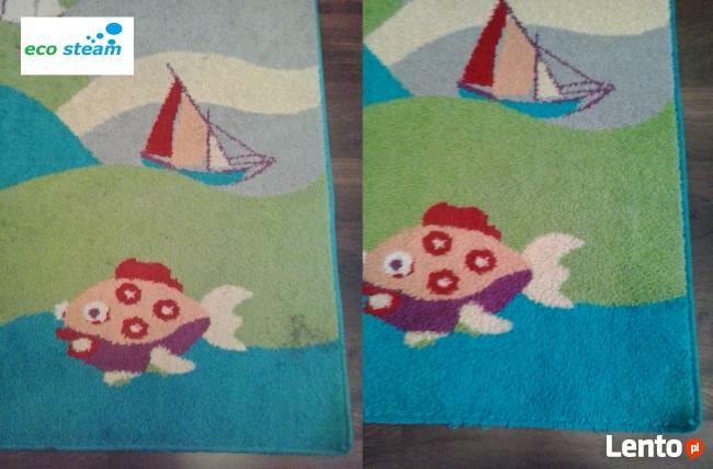 Studio Czystości ECO STEAM/pranie tapicerki dywanów