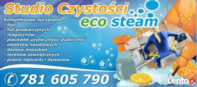 Studio Czystości ECO STEAM Sprzątanie pranie tapicerki-dywan