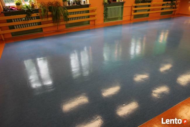 Studio Czystości ECO STEAM/pranie tapicerki dywanów