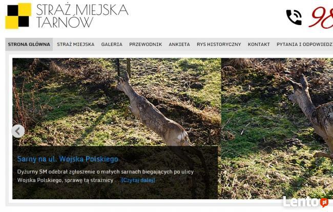 Strona responsywna RWD z systemem cms Wordpress