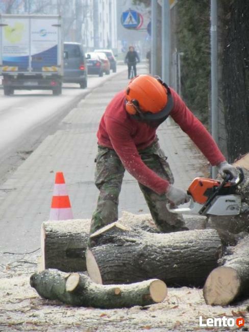 Wycinka Drzew, Usuwanie Gałęzi Alpinistycznie Kraków
