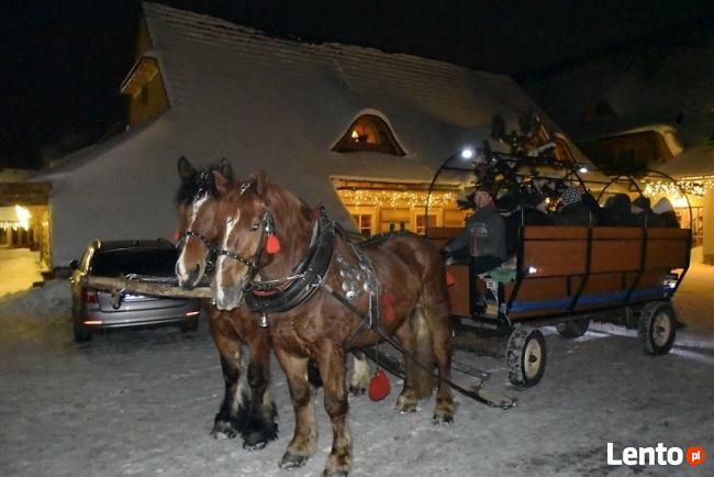 Kuligi w Beskidach, w Pieninach, na Podhalu i w Bieszczadach