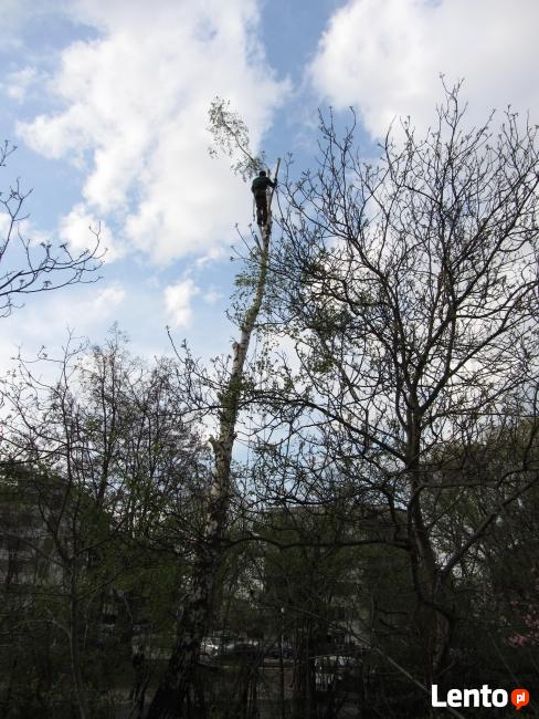 Alpinistyczna Wycinka i Przycinka Drzew Wieliczka