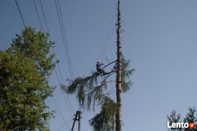 Alpinistyczna Wycinka i Przycinka Drzew Wieliczka
