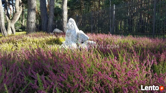 Projektowanie ogrodów, zakładanie ogrodów, tarasy z drewna