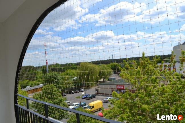 Ochrona przed gołębiami, odstraszanie gołębi