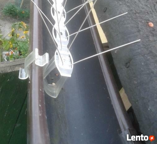 Ochrona przed gołębiami, odstraszanie gołębi