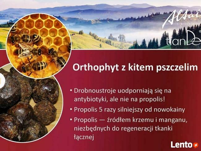 BOLĄCE KOLANA, KRĘGOSŁUP REGENERUJĄCY ŻEL ORTHOPYT
