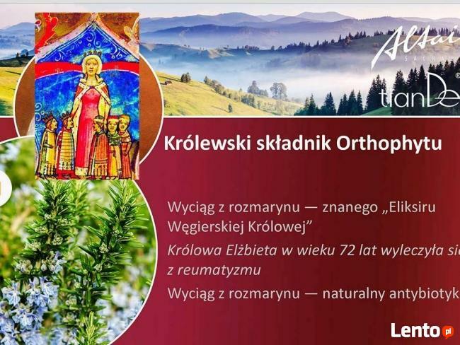 BOLĄCE KOLANA, KRĘGOSŁUP REGENERUJĄCY ŻEL ORTHOPYT