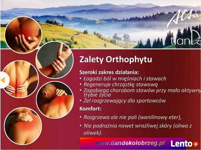 BOLĄCE KOLANA, KRĘGOSŁUP REGENERUJĄCY ŻEL ORTHOPYT