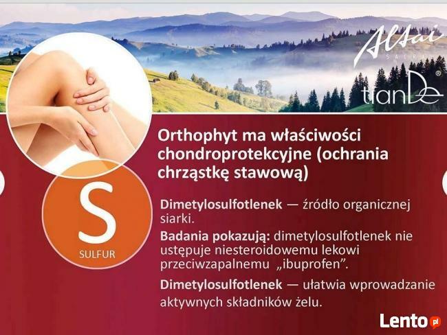 BOLĄCE KOLANA, KRĘGOSŁUP REGENERUJĄCY ŻEL ORTHOPYT