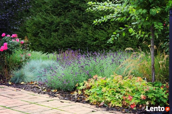 Projektowanie, pielęgnacja, aranżacja ogrodów