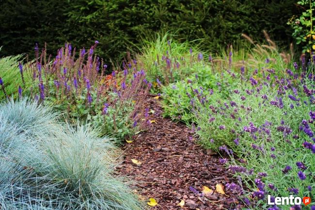 Projektowanie, pielęgnacja, aranżacja ogrodów