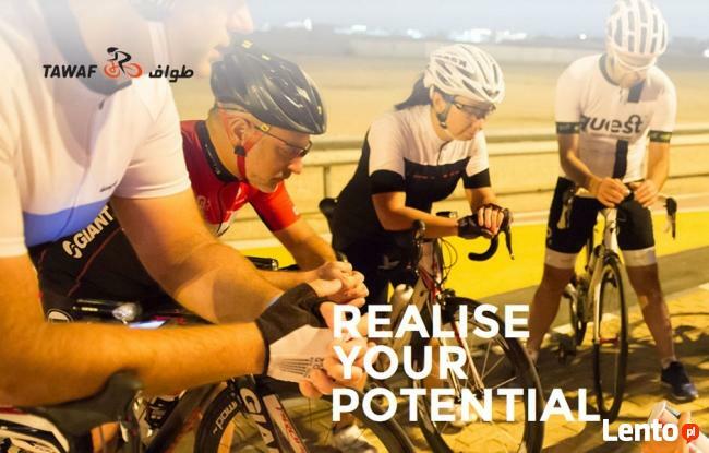 Projektowanie stron responsywnych rwd, cms wordpress