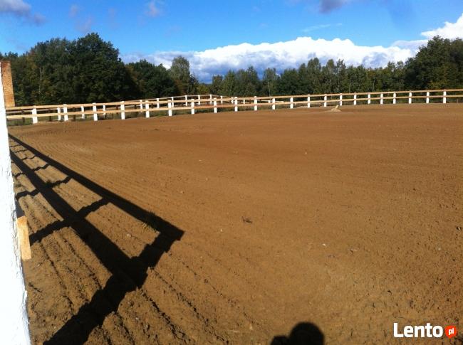 prace roboty ziemne uslugi koparko ladowarka starogard gdans