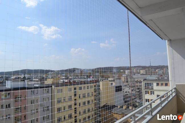 Kolce i siatki przeciw ptakom