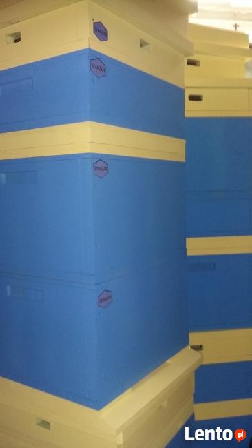 UL Wielkopolski 10-cio ramkowy PROMOCJA