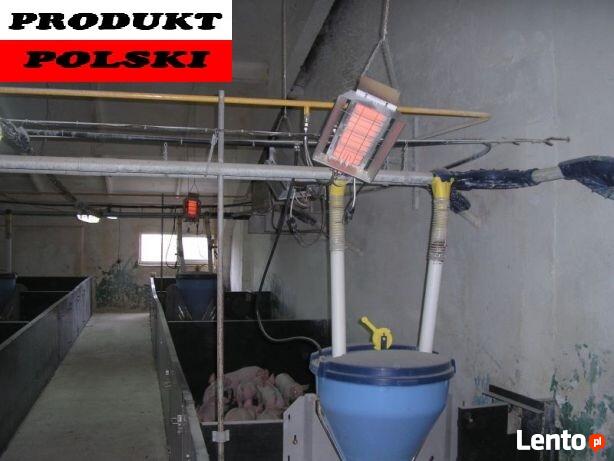 Ogrzewanie przemysłowe Polski producent Promienniki gazowe