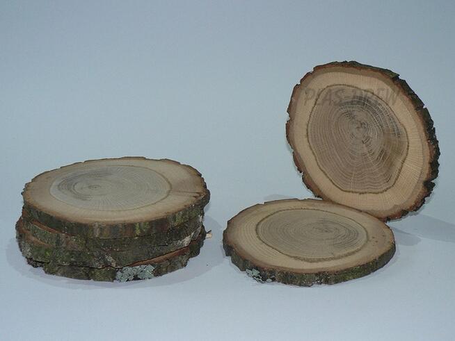 Plastry drewna o średnicy 12-15 cm - Dąb