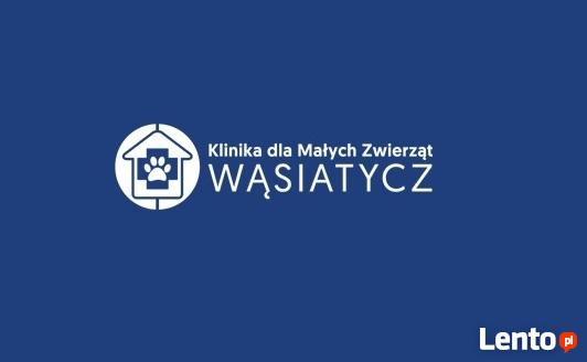 Gabinet Pielęgnacji Dla Zwierząt Poznań