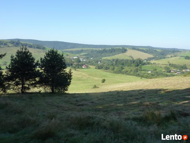 Bieszczady Liskowate-stok gory nad rzeczka przy drodze na Pr