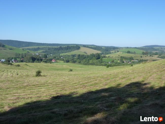 Bieszczady Liskowate-stok gory nad rzeczka przy drodze na Pr