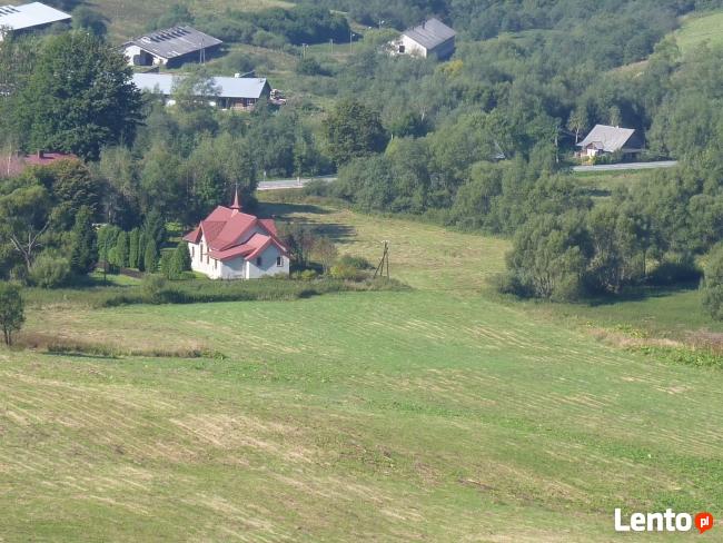 Bieszczady Liskowate-stok gory nad rzeczka przy drodze na Pr