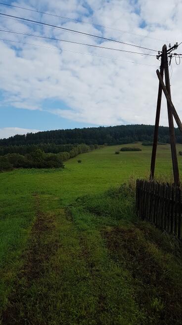 Bieszczady Liskowate-stok gory nad rzeczka przy drodze na Pr