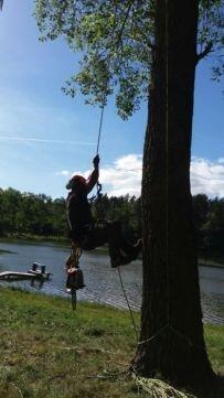 Pilarz-drwal, Arborysta wycinka i pielęgnacja drzew rębak