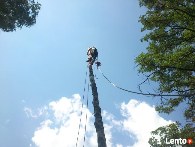 podnośnik koszowy, zwyżka, wysięgnik, wycinka drzew