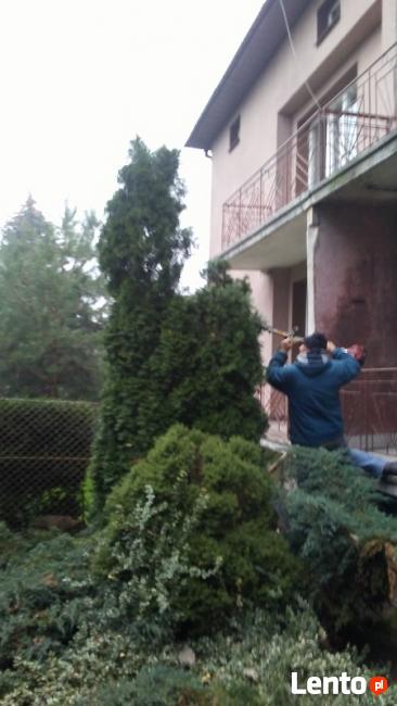 Usługi ogrodnicze i porządkowe działek placów posesji