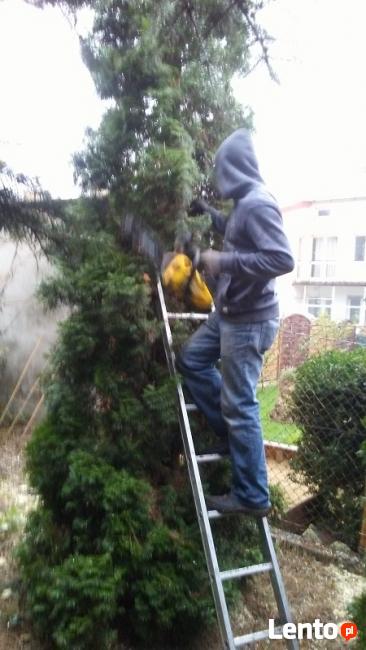 Usługi ogrodnicze i porządkowe działek placów posesji