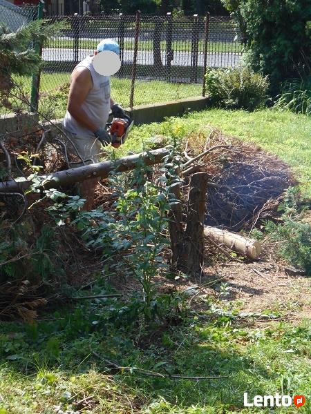 Usługi ogrodnicze i porządkowe działek placów posesji