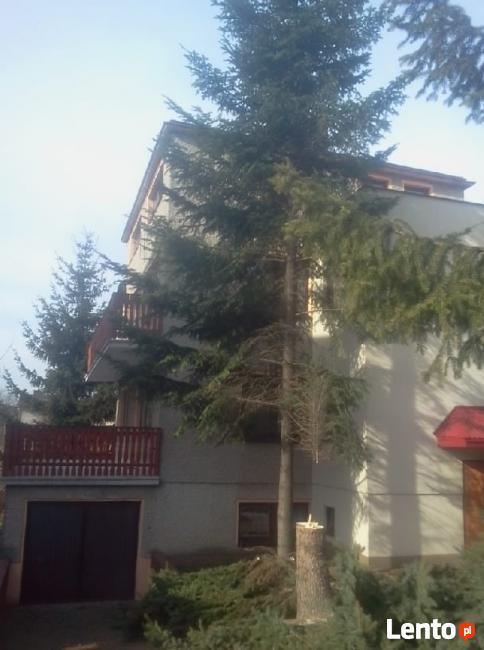 Wycinki drzew podcinanie gałęzi zrębkowanie lubelskie