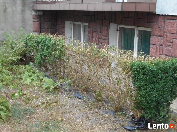 Usługi ogrodnicze i porządkowe działek placów posesji