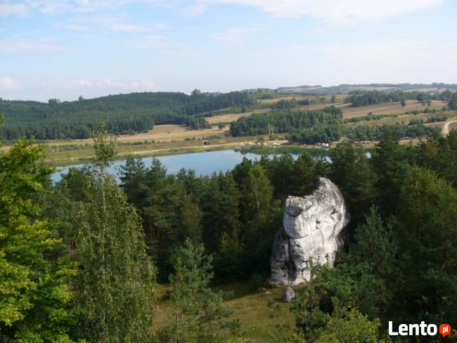 Działka budowlana na Jurze