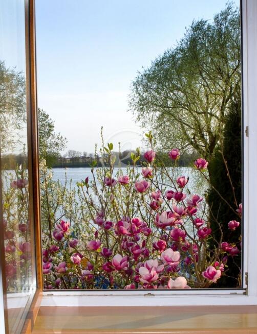 Zakątek nad Jeziorem Ełk