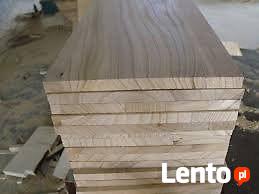 drzewa szybko rosnące Paulownia