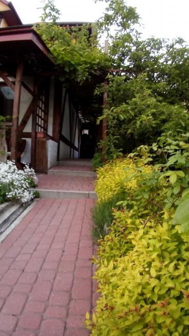 Zakątek nad Jeziorem Ełk