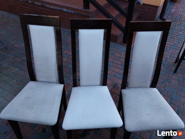 Czyszczenie dywanów Konin