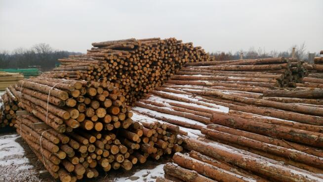 Stemple budowlane sosnowe