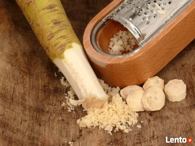 Chrzan Piękna Sadzonka Najlepsza Polska Odmiana 2L