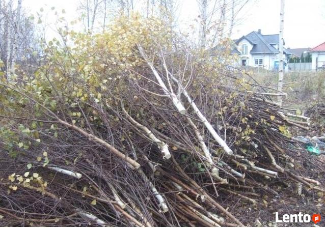Karczowanie, czyszczenie działek , frezowanie pni !