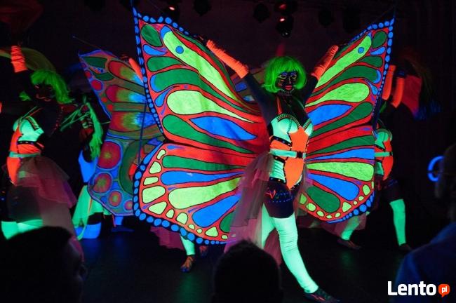 Tancerki katowice samba katowice kankan pokaz tańca katowice