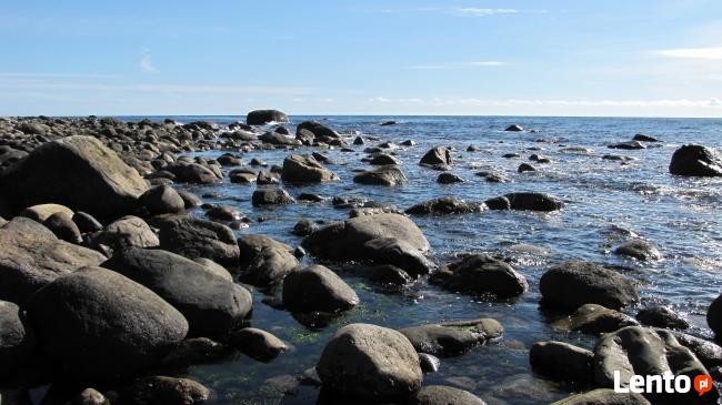 Dojrzały pozna młodszą