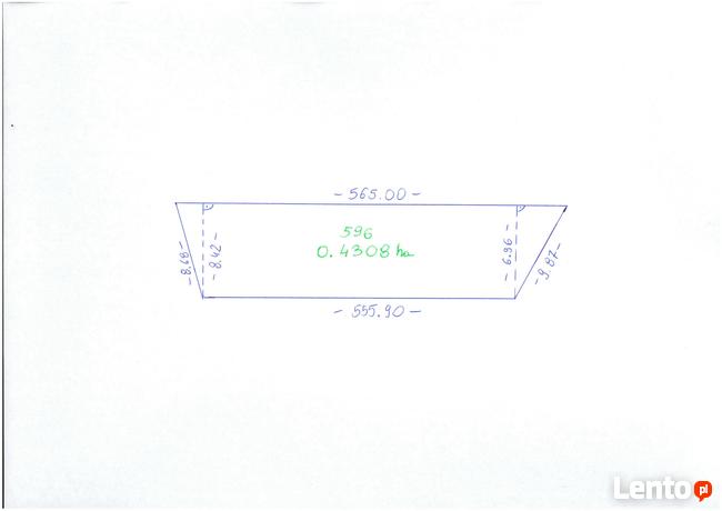 Działka leśna w miejscowości Stary Żabieniec ( 4308 m2 )