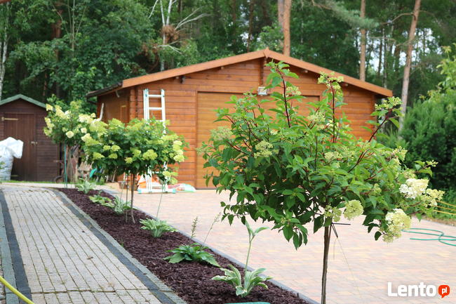 Usługi ogrodnicze-zakładanie trawników, aeracja,wertykulacja,