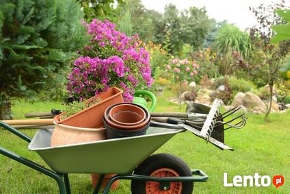 Usługi ogrodnicze-zakładanie trawników, aeracja,wertykulacja,
