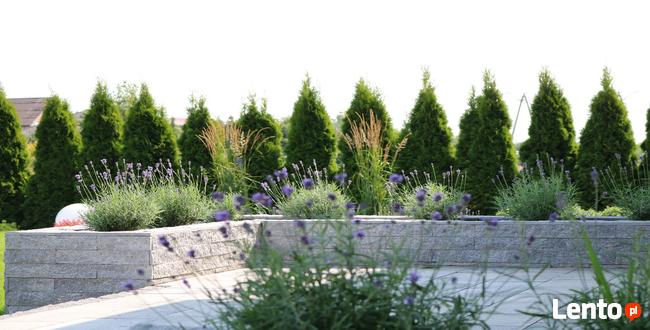 Usługi ogrodnicze-zakładanie trawników, aeracja,wertykulacja,