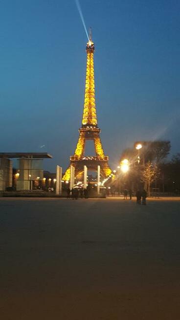 Usługi detektywistyczne, Prywatny detektyw, Tani detektyw